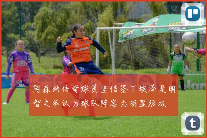 阿森纳传奇球员坚信签下埃泽是明智之举认为球队阵容无明显短板