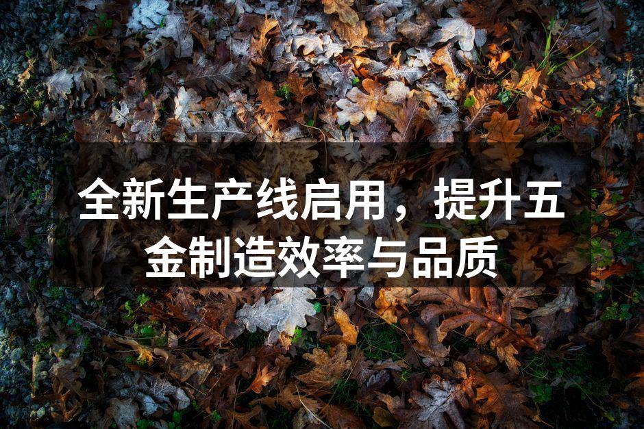 全新生产线设备现场
